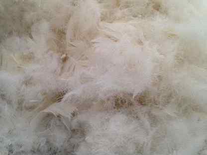 Кипрей узколистный пух. Свалять винни пуха. Валяние из шерсти винни пух. Валяные игрушки. Татарник пух.