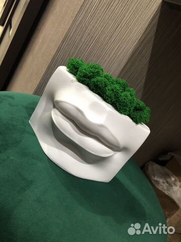 Кашпо «Губы Давида» со стабилизированным мхом