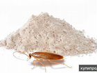 Тиурам самое эффективное средство от тараканов