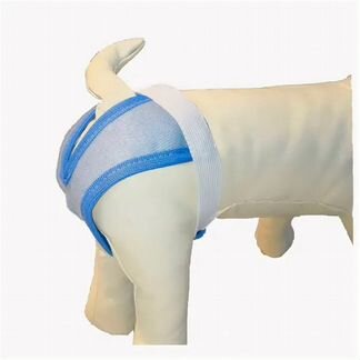 Трусы для собак многоразовые