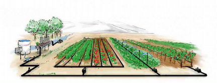 Капельная лента (шаг 20) 1000м