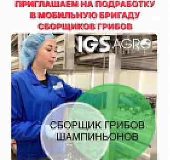 Долгопрудный вакансии. Свежие вакансии в благовещенске амурской. Работа авито елабуга свежие вакансии для женщин. Белая дача трейдинг логотип. Работа елабуга для студентов без опыта работы.