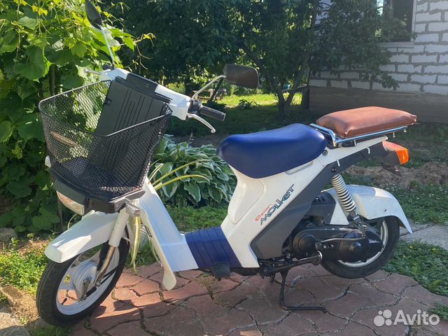 Suzuki super mollet
