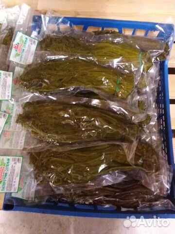 Продаем папоротник Орляк соленый