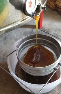 Мед Дягеливый качка 2023 год.- доставка