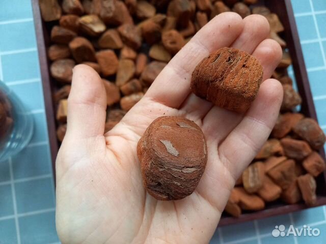 Кора для орхидей крупная 