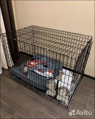 Клетка для собак