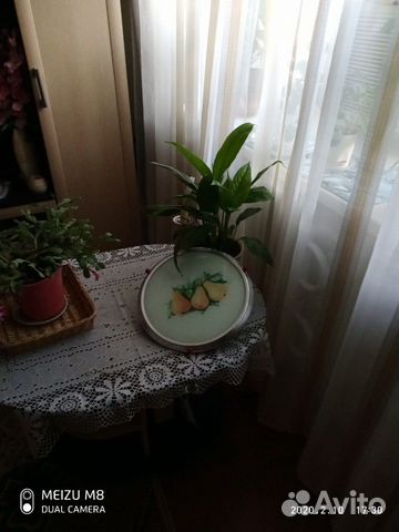 Тортница сср