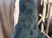 Плюшевая акула из икеи