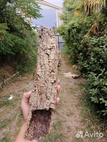 Кора пробкового дуба, лианы, лоза