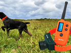 Электронный ошейник для охотничьих собак PET910