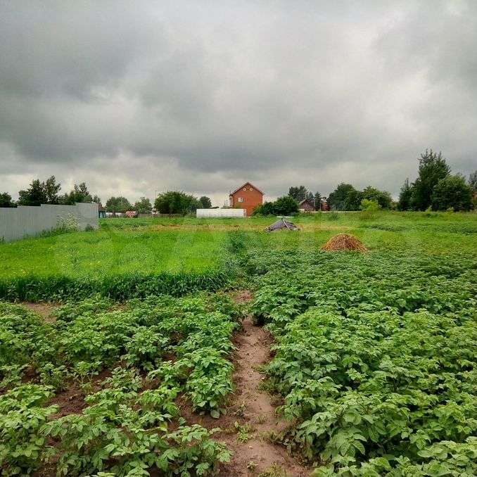 Орехово-Зуевский городской округ деревня Губино.