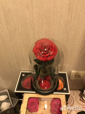 Живая роза в колбе