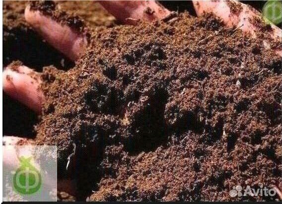 Верховой торф в мешках с доставкой