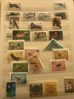 Марка раритет