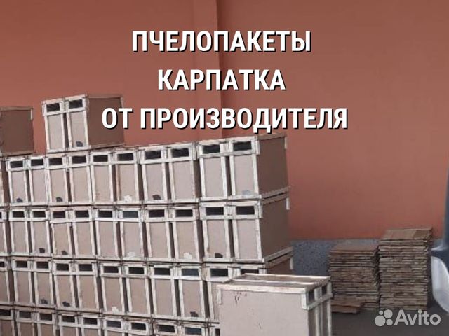 Пчелопакет Карпатка от производителя