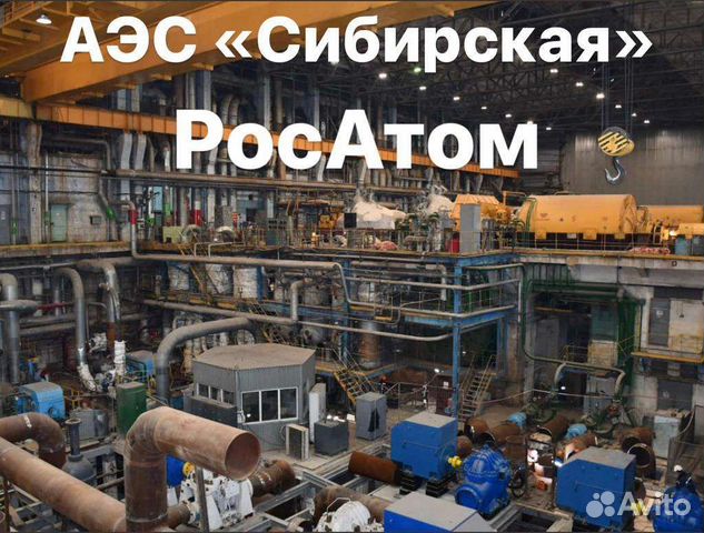 верховский балаковская аэс. вахта аэс. утилизация подводных лодок гремиха. вахта аэс. энергетический ядерный реактор схема.