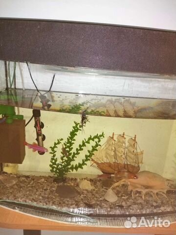 Аквариум