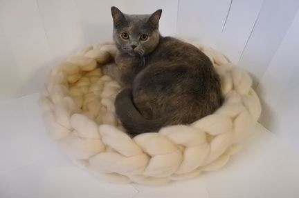 Лежанка для кота