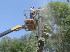 Спил,обрезка и Удаление деревьев в Моршанске