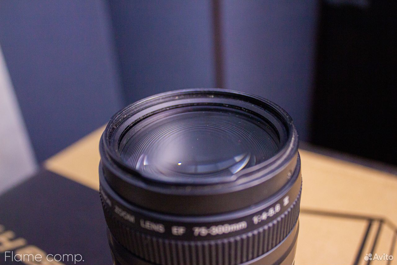 Объектив Canon Zoom Lens EF 75-300mm 1 4-5.6 III 89605438767 купить 4