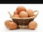 Яйца куриные домашние объявление продам