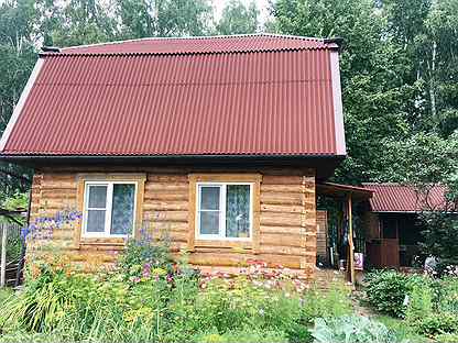 снт механизатор 2. снт механизатор новосибирск. дача снт механизатор. снт механизатор павлово-посадский район. дача снт механизатор.