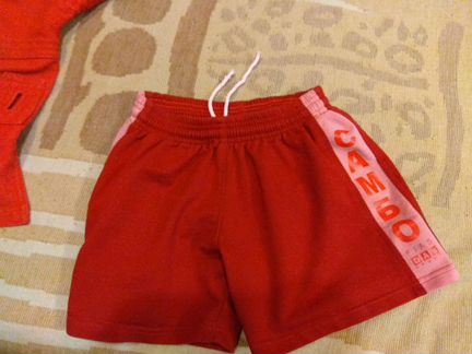 Самбовка и шорты Данспорт