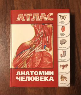 Атлас анатомии человека. Лёвкин