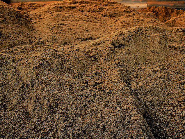 смешанные и широколиственные леса почва. смешанные и широколиственные леса почва в россии. буроземы грубогумусовые. смешанные грунты. смешанные грунты.