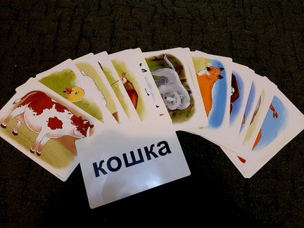 Чтение с пеленок и Книжная разминка Умница
