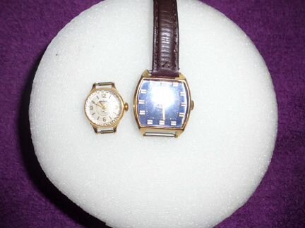 Луч и чайка