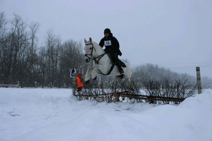 Верховая езда/аренда лошади