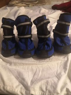 Обувь для собак