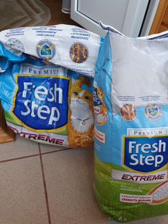 Корм для котят