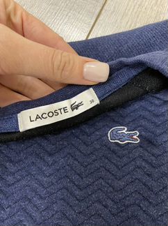 Свитшот lacoste