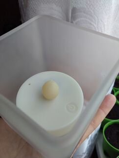 Светильник-ночник