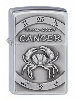 Зажигалки Zippo - Знаки зодиака 3D