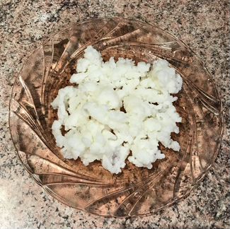 Кефирный тибетский молочный гриб